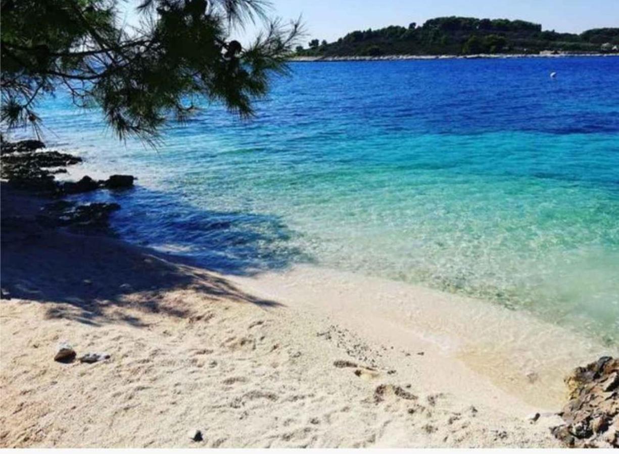 Molo View Apartment Rovinj Eksteriør billede