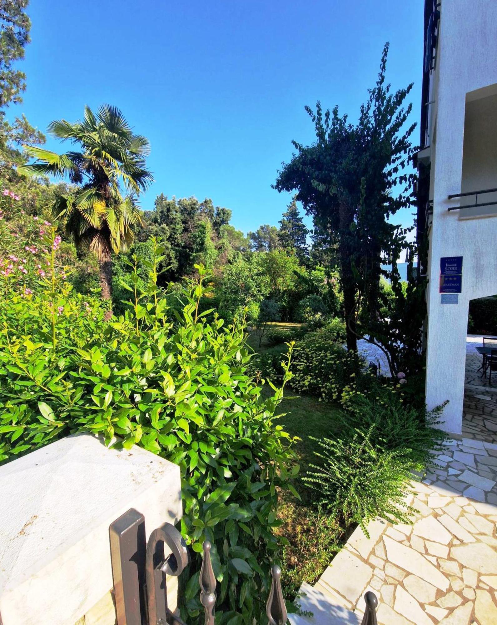 Molo View Apartment Rovinj Eksteriør billede
