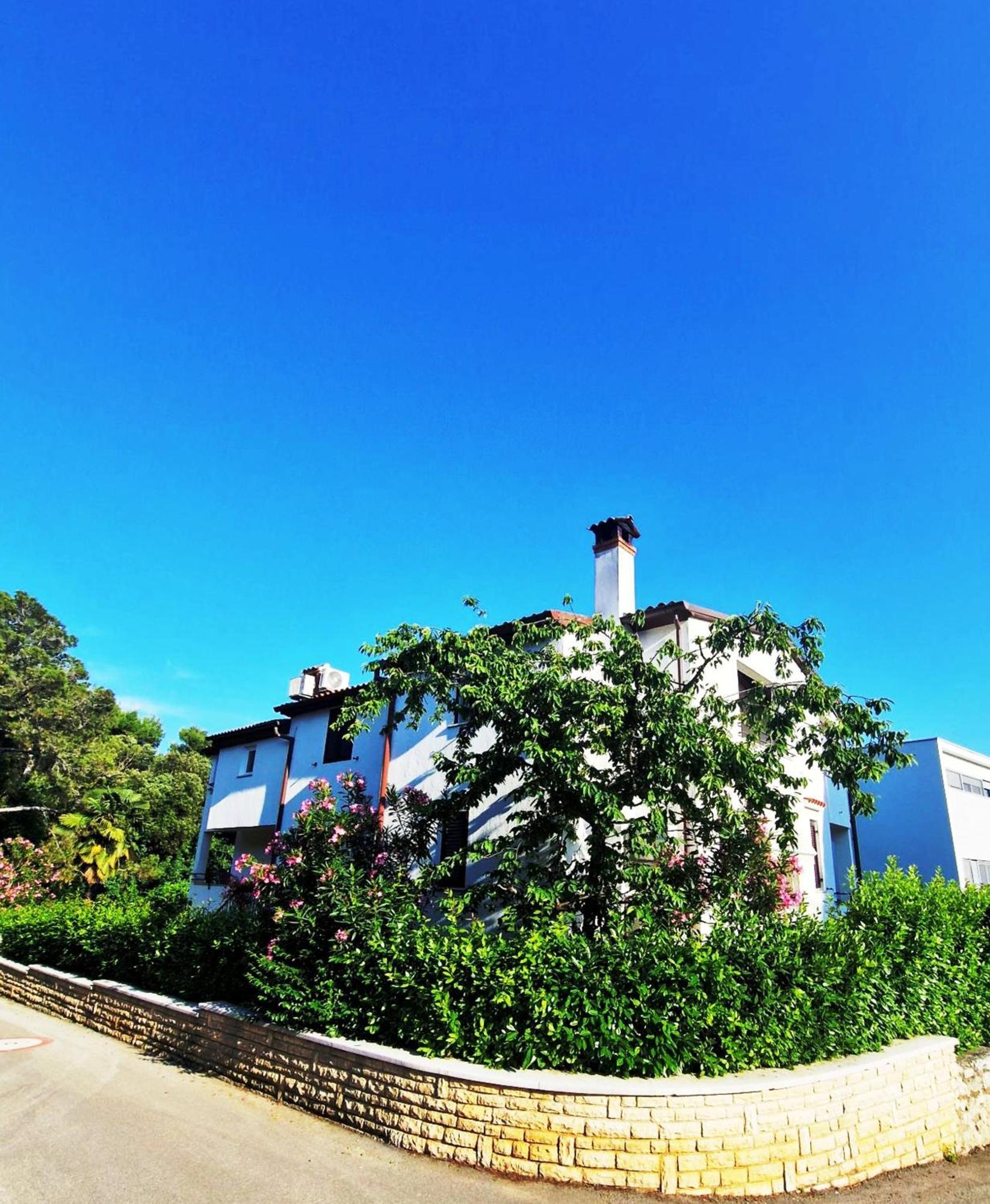 Molo View Apartment Rovinj Eksteriør billede